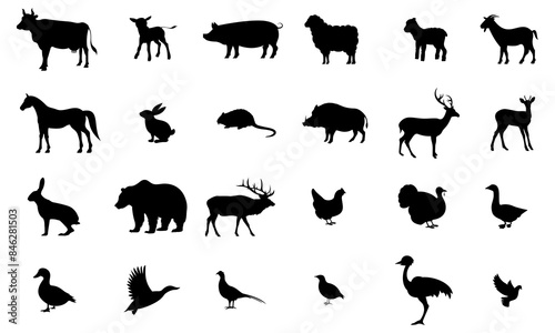 Vector solid icon, animals. Cow, calf, pig, sheep, lamb, goat, horse, rabbit, nutria, boar, deer, roe deer, hare, bear, elk, chicken, turkey, goose, duck, mallard, pheasant, partridge, ostrich, dove.