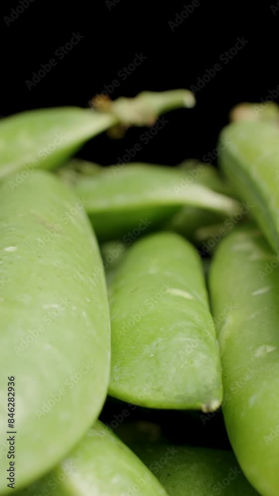 Vertical video. Pea Pods close-up stacked on top of each other, rotating on a black background. Vertical video. Pea Pods close-up stacked on top of each other, rotating on a black background.