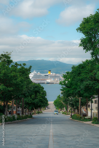 Amazing ocean and cruise ship view with city street of Hakodate from the Hakodate Mountain Hill. Surrounded by the green trees photo