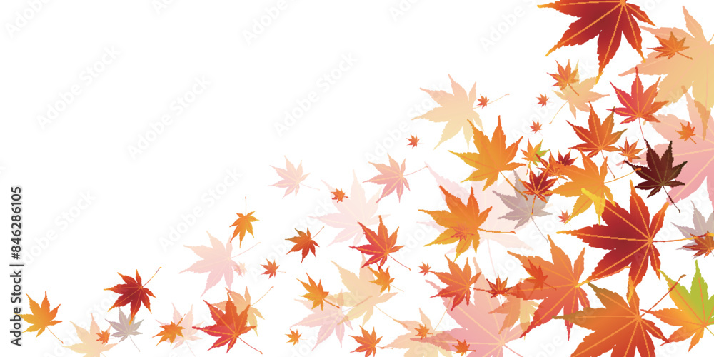紅葉 葉 秋 背景 紅葉 葉 秋 背景