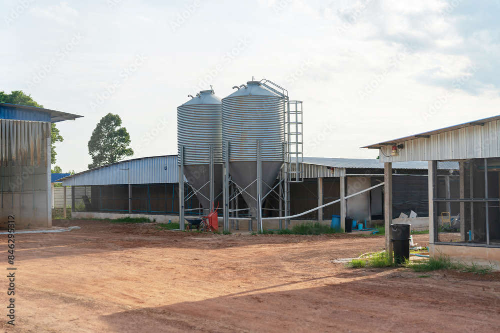 Large modern metal silos storing grain for animal feed at a chicken farm Large modern metal silos storing grain for animal feed at a chicken farm