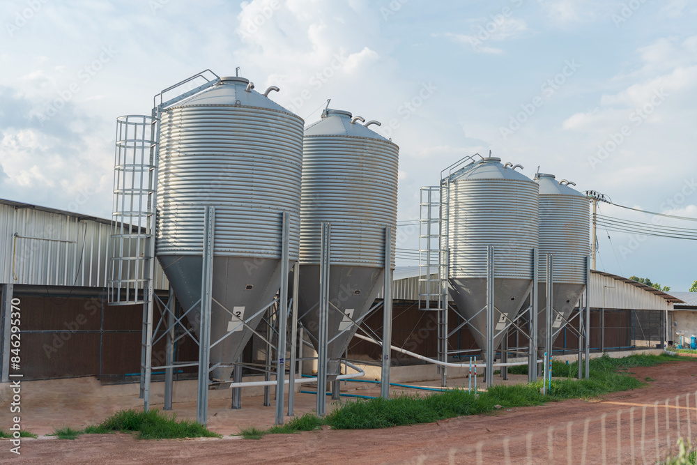 Large modern metal silos storing grain for animal feed at a chicken farm
