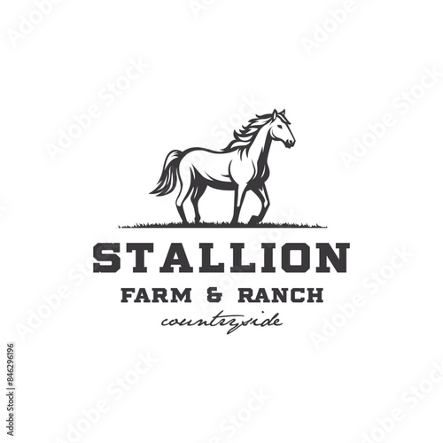 black Horse Stallion  Countryside western country farm ranch logo design