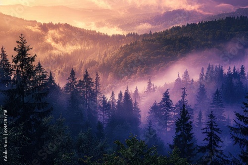 A misty forest with trees and mountains in the background