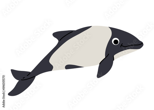 Vector cartoon illustrations of commerson dolphin on a white background. Flat cute icon of dolphin. Underwater world, ocean, underwater inhabitants.