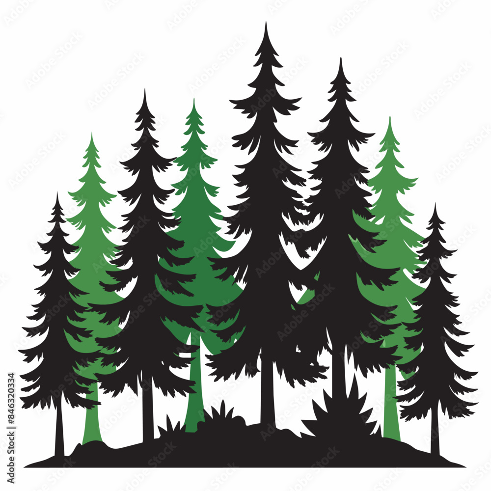 Obraz premium forest in the forest