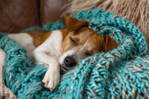 Adorable Dog Sleeping on Cozy Plaid Blanket Generative AI © Gro
