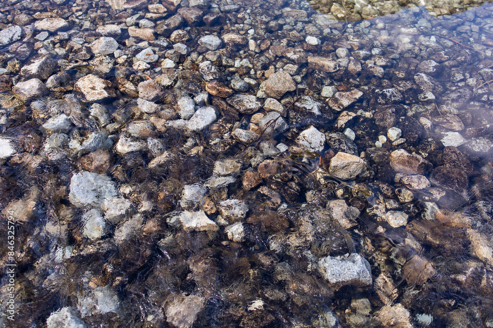 Stones in the water of the river