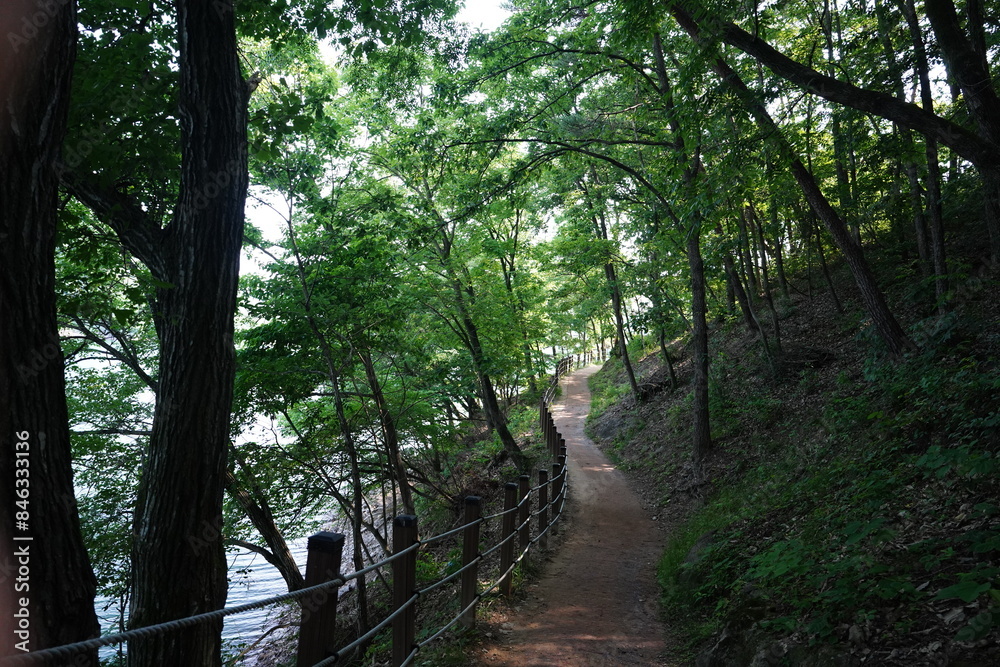 Fototapeta premium 대한민국 담양의 용마루길 풍경