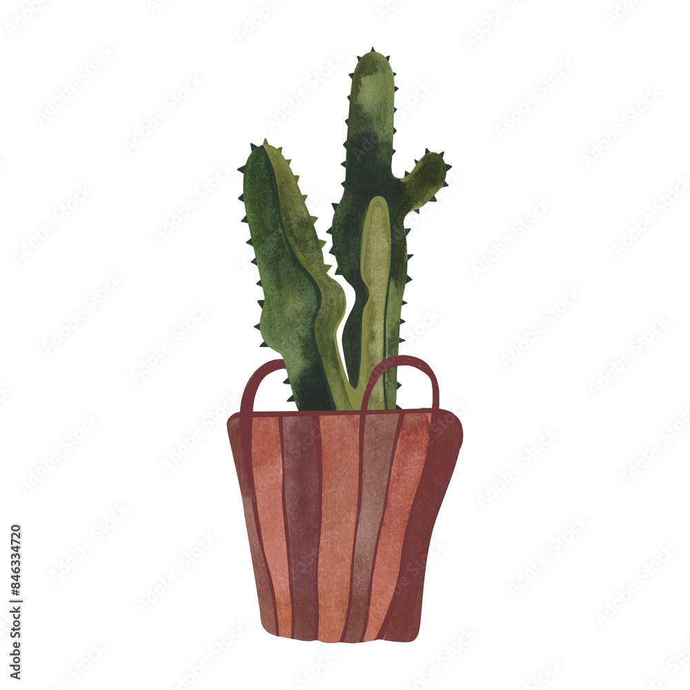 Cactus in a wicker basket. Plants for the home. Floriculture. Interior decoration. Isolated watercolor illustration on white background. Clipart. Cactus in a wicker basket. Plants for the home. Floriculture. Interior decoration. Isolated watercolor illustration on white background. Clipart.