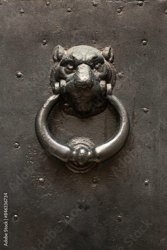 Ornate door knocker on an exterior building door