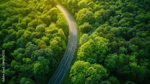 Aerial perspective of a straight road through a forest, bathed in sunlight, representing a sustainable and ESG-aligned path