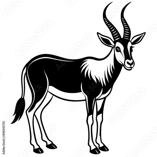 Arabian Oryx vector artwork illustration svg