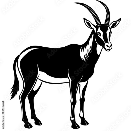 Arabian Oryx vector artwork illustration svg