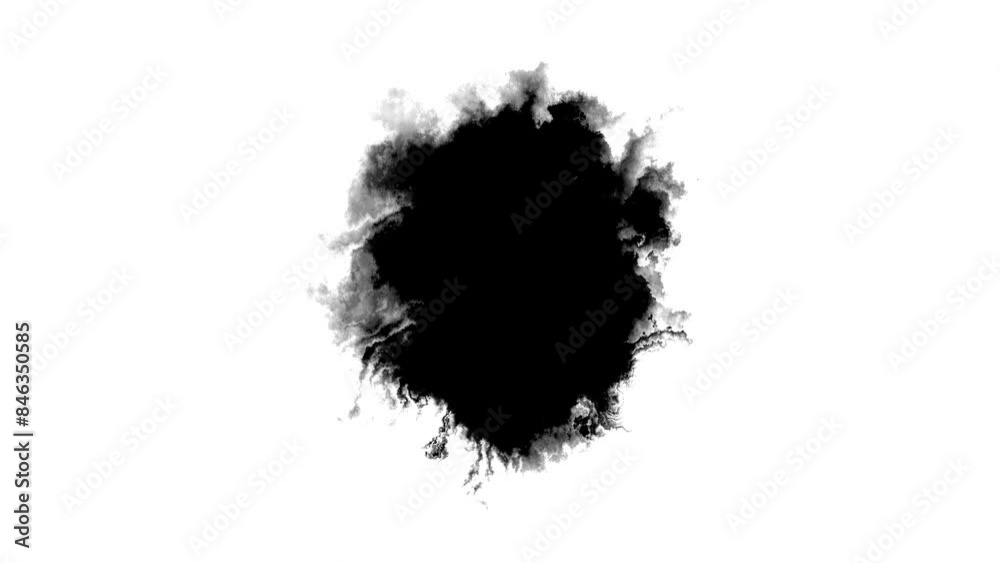 Abstract Ink splash spreads across the screen ink transition splatter blot spreading. ink splatter transition. ink brush stroke, fluid art black and white. Slide Show, Fade, Matte, Reveal splatter