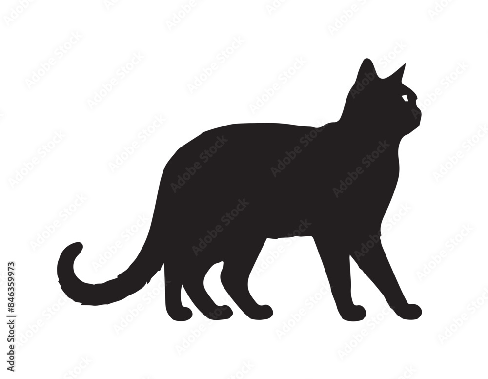 Black Cat Silhouette on White Background. Black Cat Silhouette on White Background.