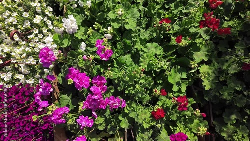 Wallpaper Mural Plants in a flower nursery garden center.	
 Torontodigital.ca