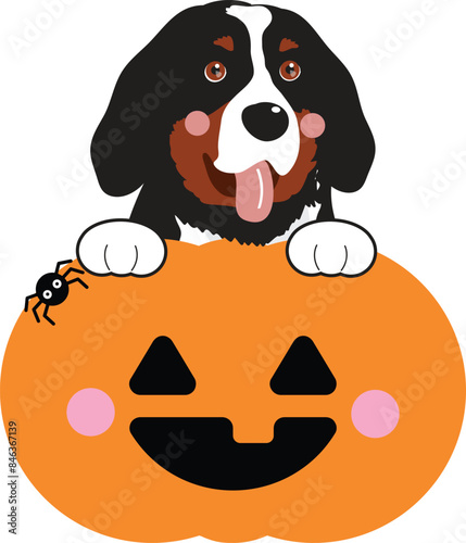 Bernese Mountain Dog halloween.eps