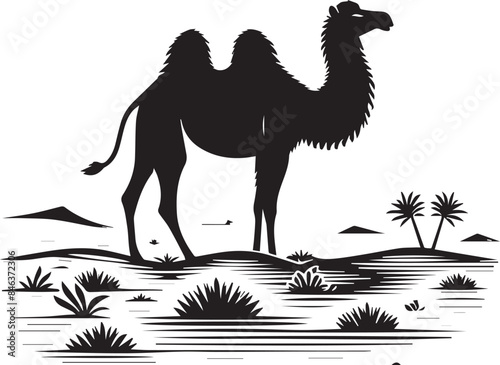 camel on the desert