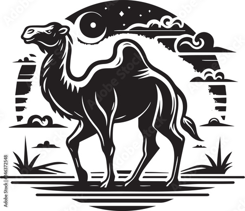 camel in desert