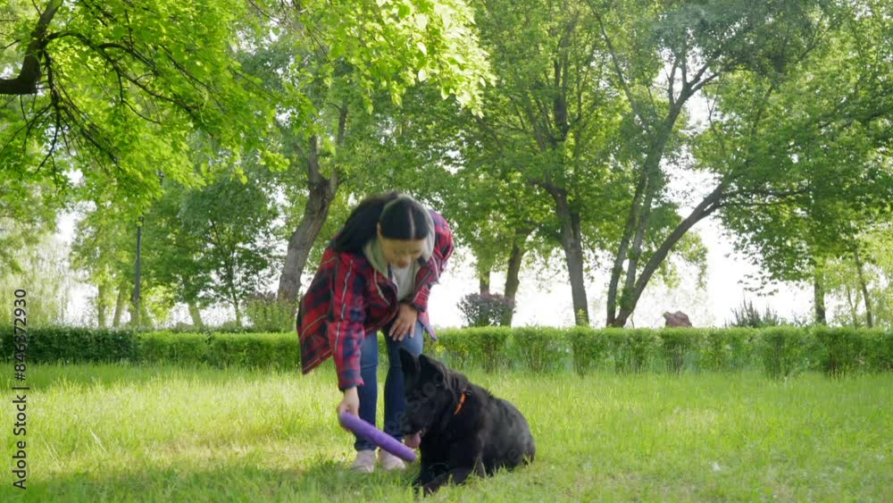 Charming middle aged Asian woman practicing dog obedience training, teaching black female shepherd to lay down command while relaxing in public park. Charming middle aged Asian woman practicing dog obedience training, teaching black female shepherd to lay down command while relaxing in public park.