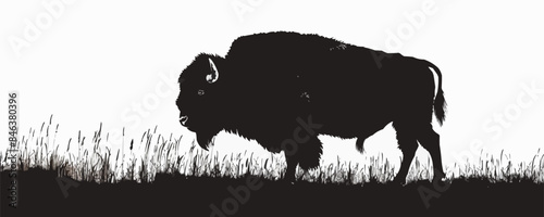 American Bison Silhouette Vector, A bison animal clipart
