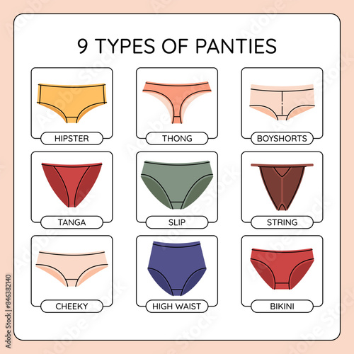 Types of colorful woman panties infographics. Vector pants collection.