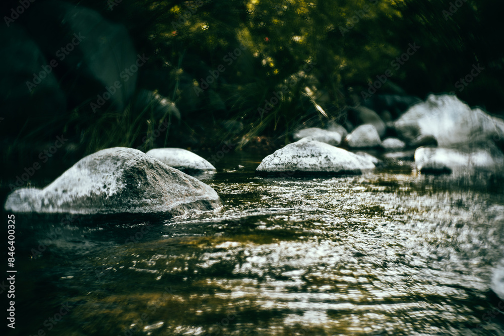 Fototapeta premium Paraje de Río. Charca. Piedra y curso del agua.