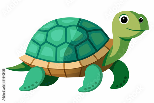 Turtle vector illustration