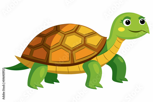 Turtle vector illustration