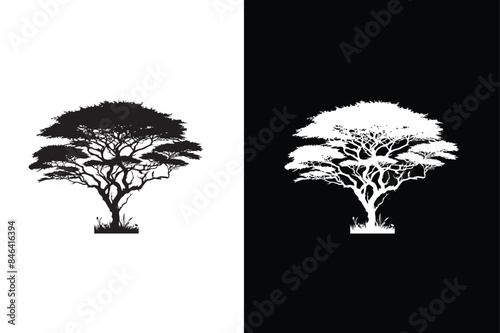 Flat vector Acacia Tree icon illustration