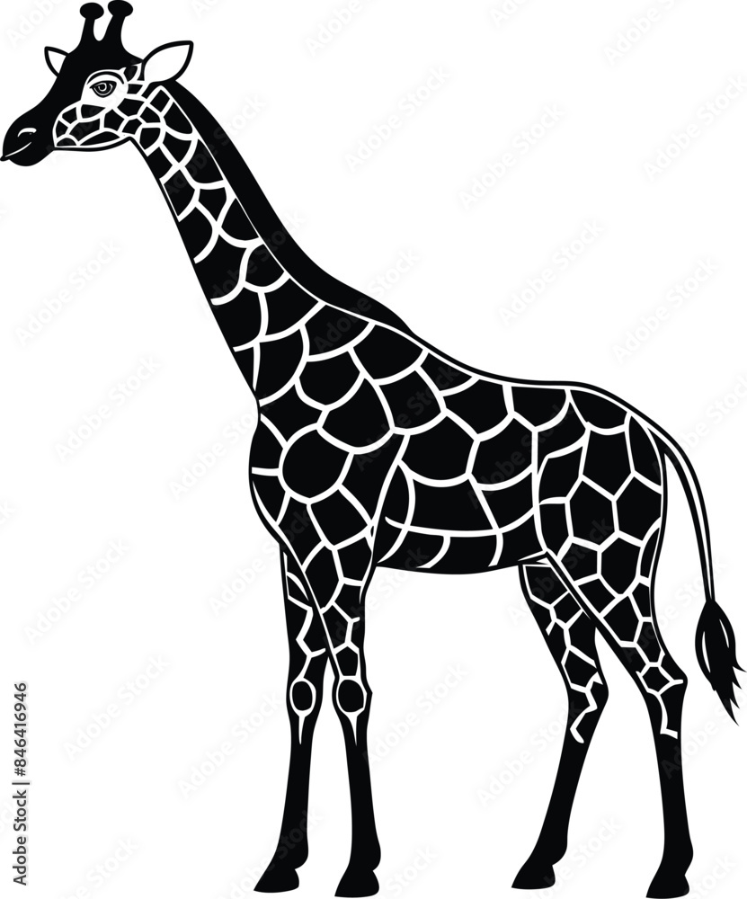Naklejka premium giraffe vector illustration isolated on white background eps 10