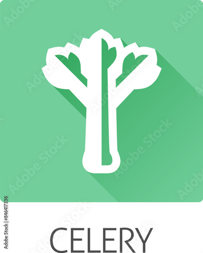 Celery vegetable food stylised icon concept. Possibly an icon for the allergen or allergy.