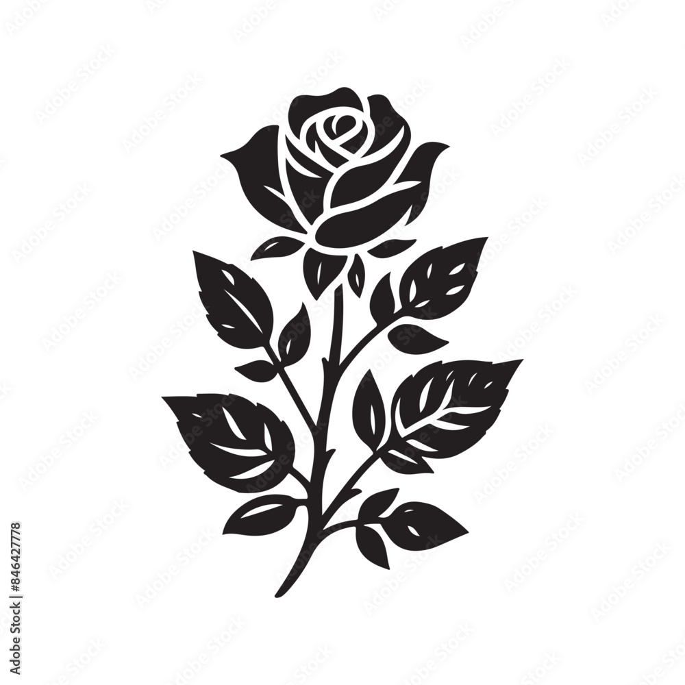 black and white rose black and white rose