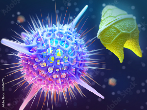 Radiolarians and dinoflagellates symbiosis, illustration photo