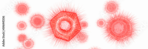 Giant virus structure, illustration photo