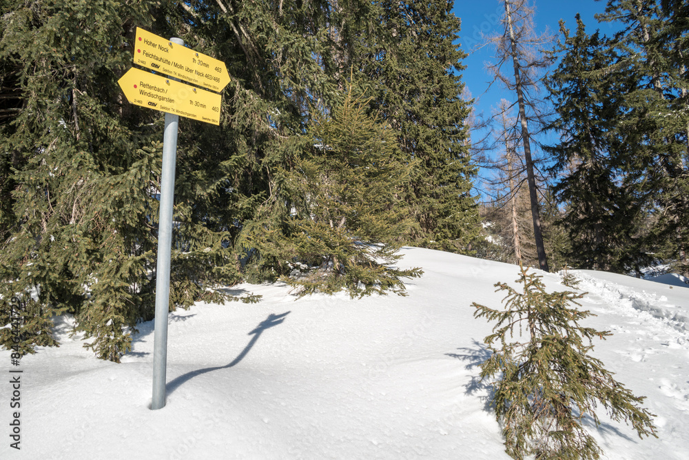 Naklejka premium Yellow and white road sign in snowy landscape by trees