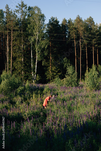 girl in a pink dress in a lupine field photo