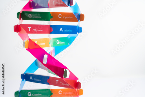 Billede på lærred DNA or Deoxyribonucleic acid is a double helix chains structure formed by base pairs attached to a sugar phosphate backbone