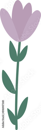A purple flower with green leaves