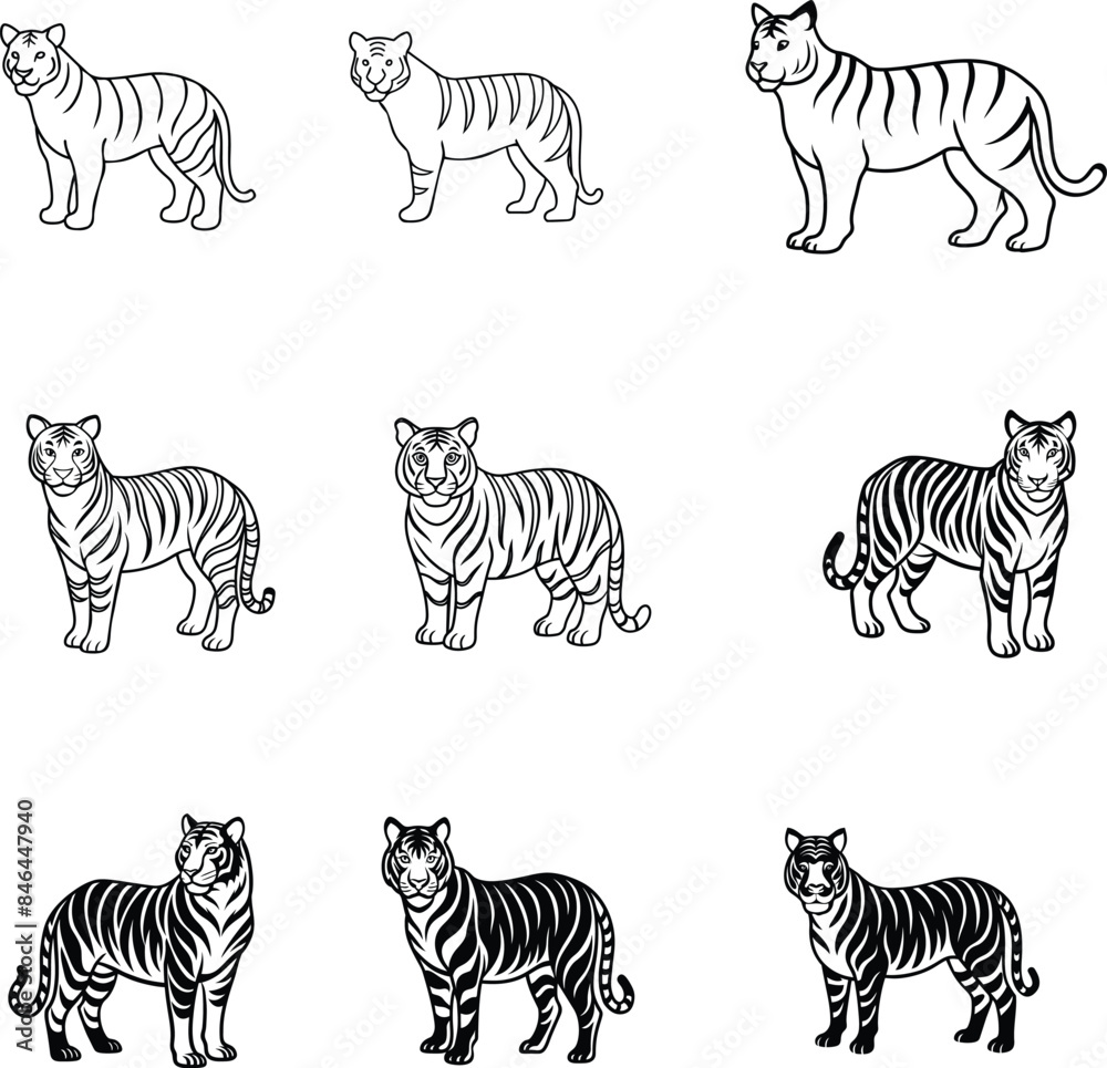 a set of tiger black and white outline a set of tiger black and white outline