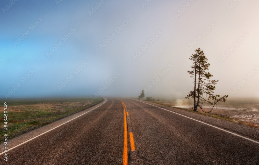 an empty road going in the distance with two trees standing out of the middle an empty road going in the distance with two trees standing out of the middle