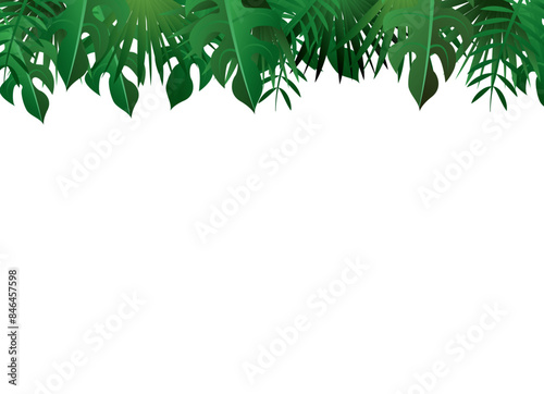 南国植物　観葉植物　背景