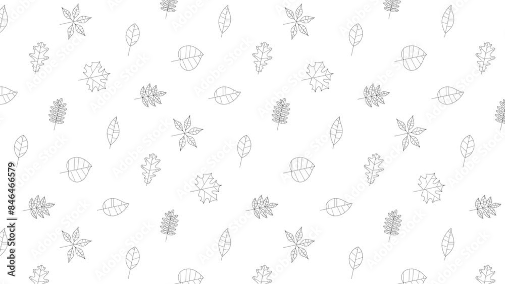 Black Thin line icon of a Rendom tree leaves on a white background , seamless loop motion graphic pattern with animated leaves with animated leaves Black Thin line icon of a Rendom tree leaves on a white background , seamless loop motion graphic pattern with animated leaves with animated leaves