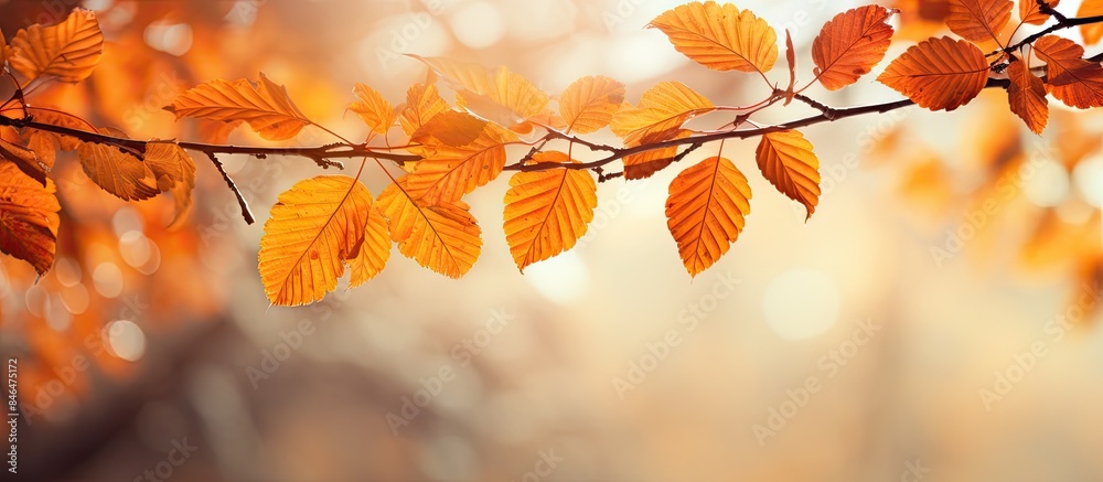 The vibrant autumn leaves on the tree provide a harmonious background with intricate details capturing the essence of the season Copy space image The vibrant autumn leaves on the tree provide a harmonious background with intricate details capturing the essence of the season Copy space image