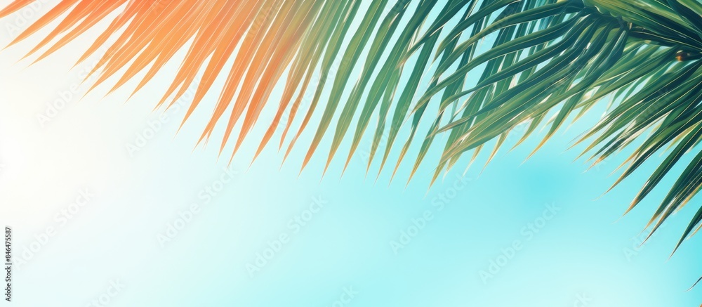 Exotic summer background with copy space image Colorful palm leaves create a creative layout on a pastel blue background illuminated by sunlight