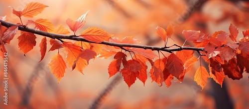 The vibrant autumn leaves on the tree provide a harmonious background with intricate details capturing the essence of the season Copy space image