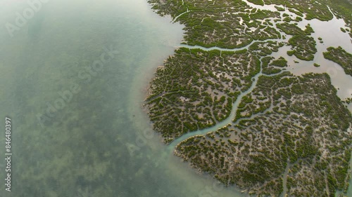 Aerial footage of a brackish tidal marsh along the ocean on a sunny golden hour photo