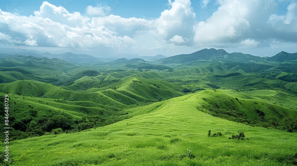 Naklejka premium Vast and Green Pastures