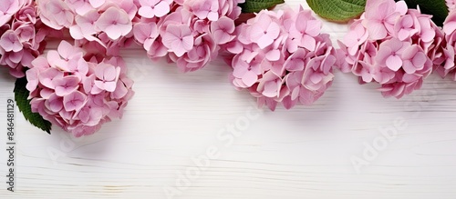 Picture a top view of a white wooden surface beautifully adorned with pink hydrangea flowers The arrangement creates a stunning floral border leaving room for additional content in the image